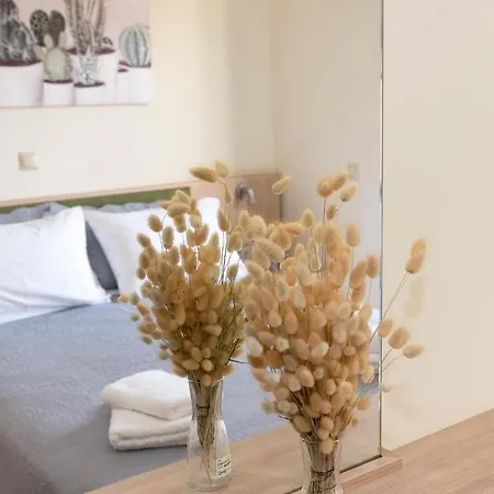 Plumi Apartment